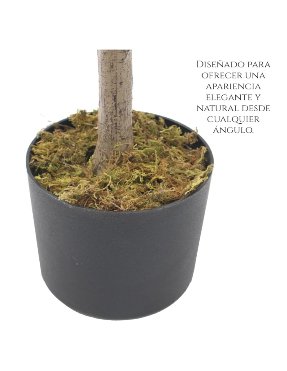 Olivo artificial Propia colección